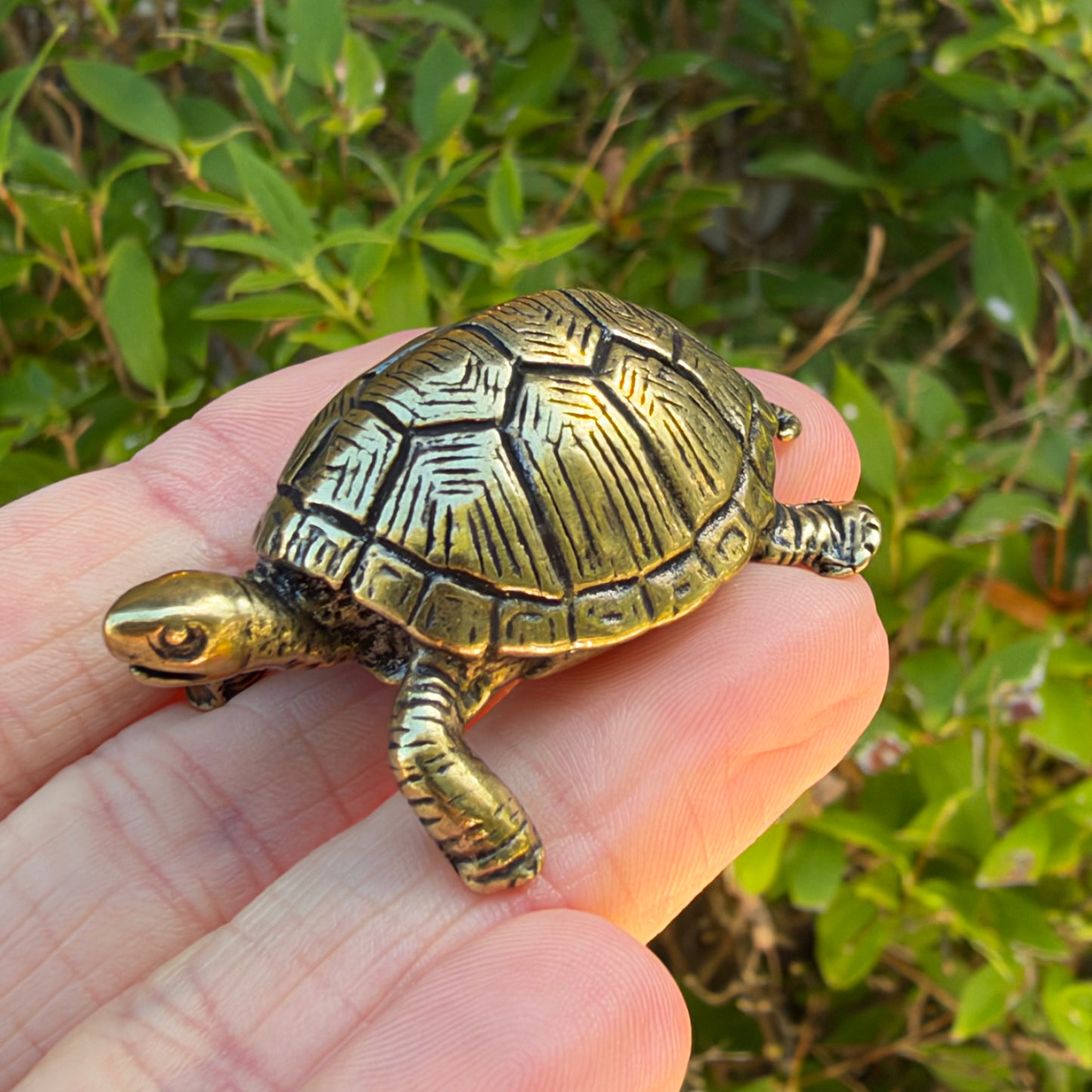Turtle Figurine, Solid Brass Spirit Animal