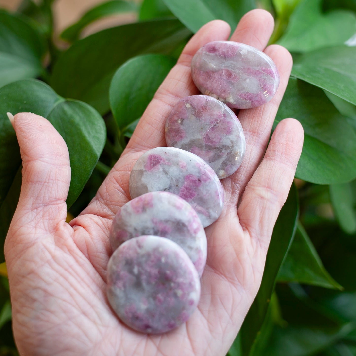 Pink Tourmaline in Lepidolite, Unicorn Stone