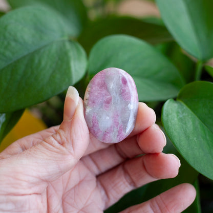 Pink Tourmaline in Lepidolite, Unicorn Stone