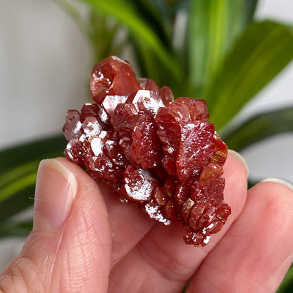 Vanadinite