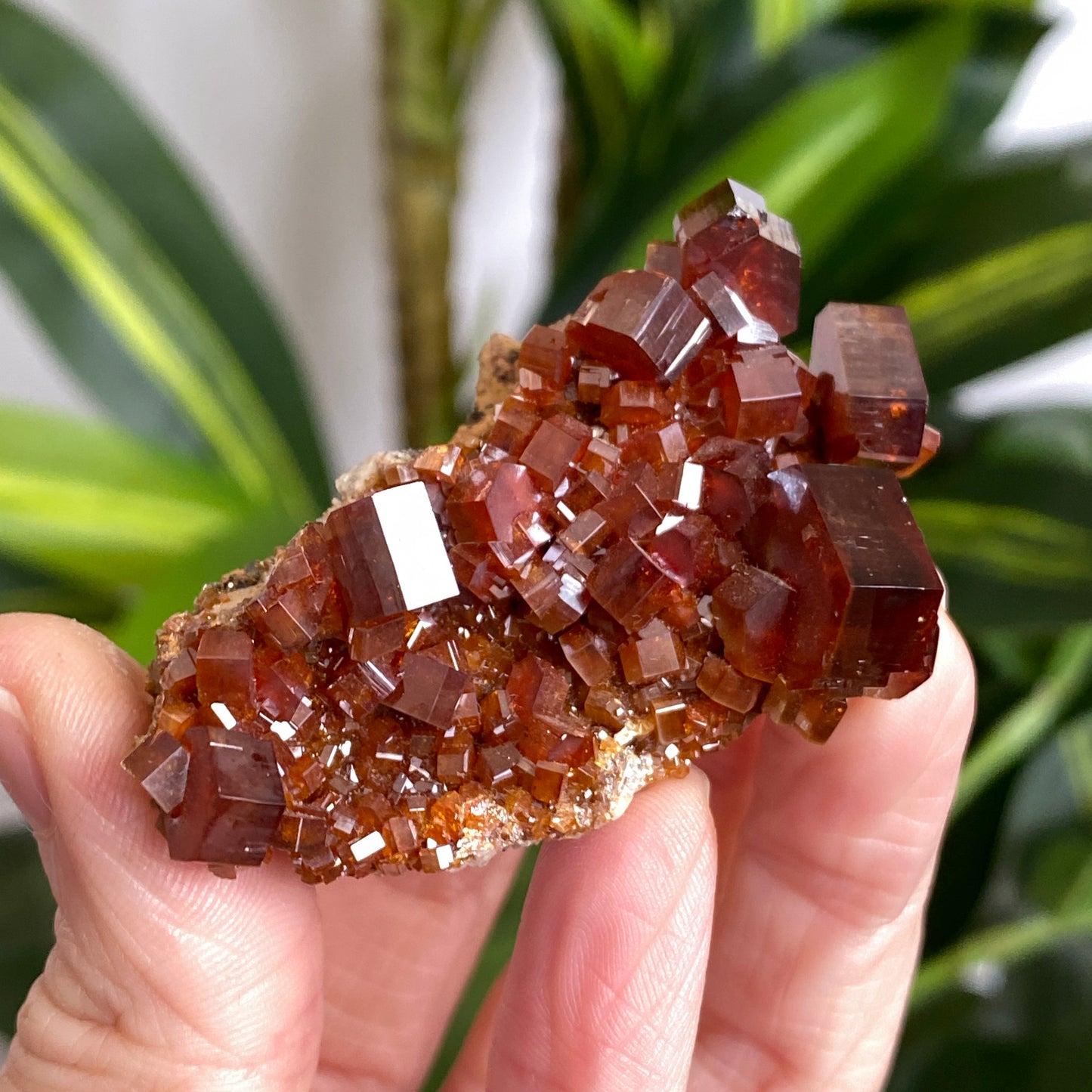 Vanadinite
