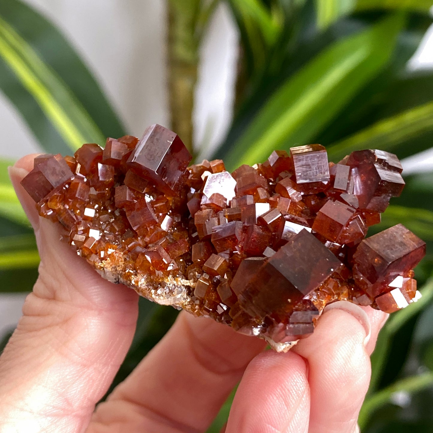 Vanadinite