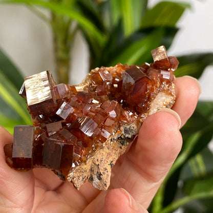 Vanadinite