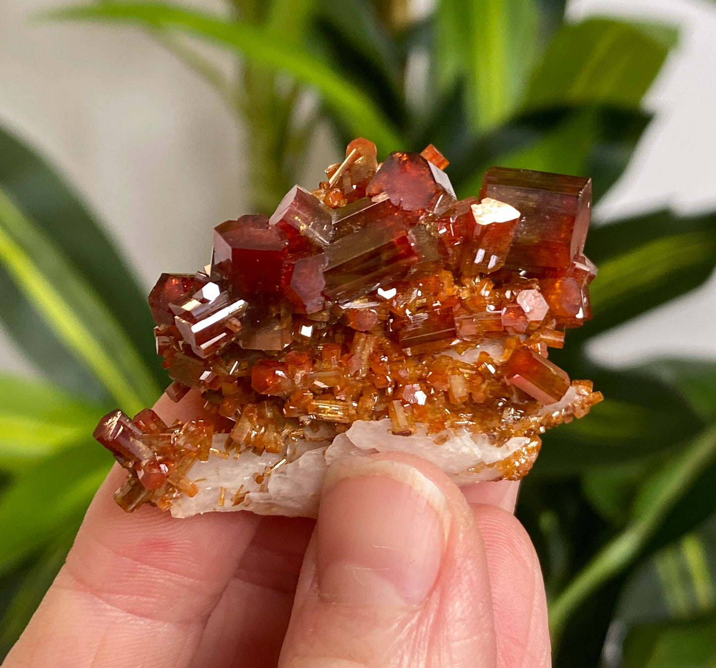 Vanadinite