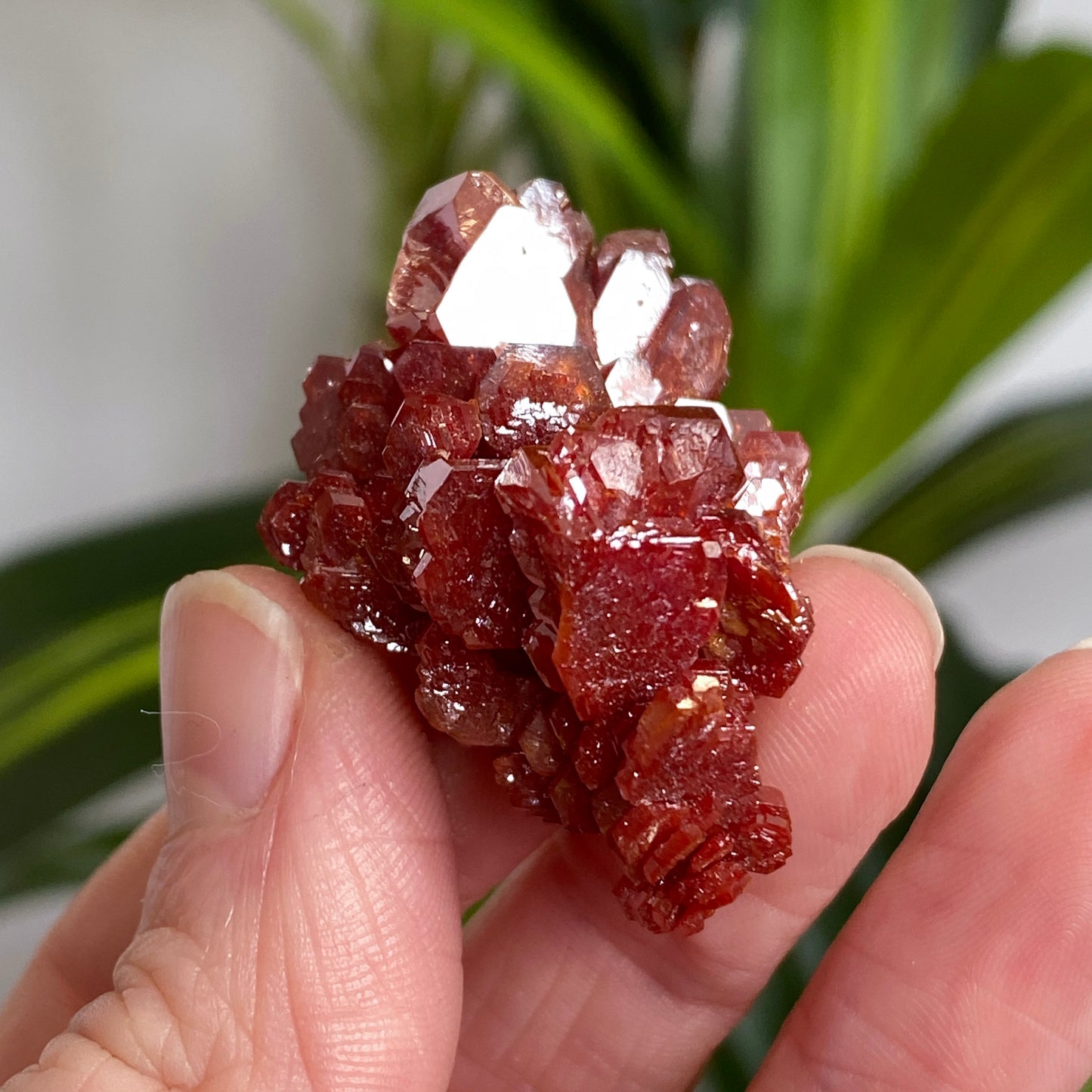 Vanadinite