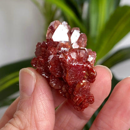 Vanadinite