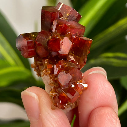 Vanadinite