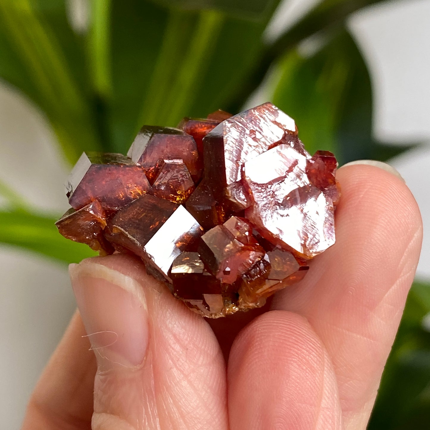 Vanadinite