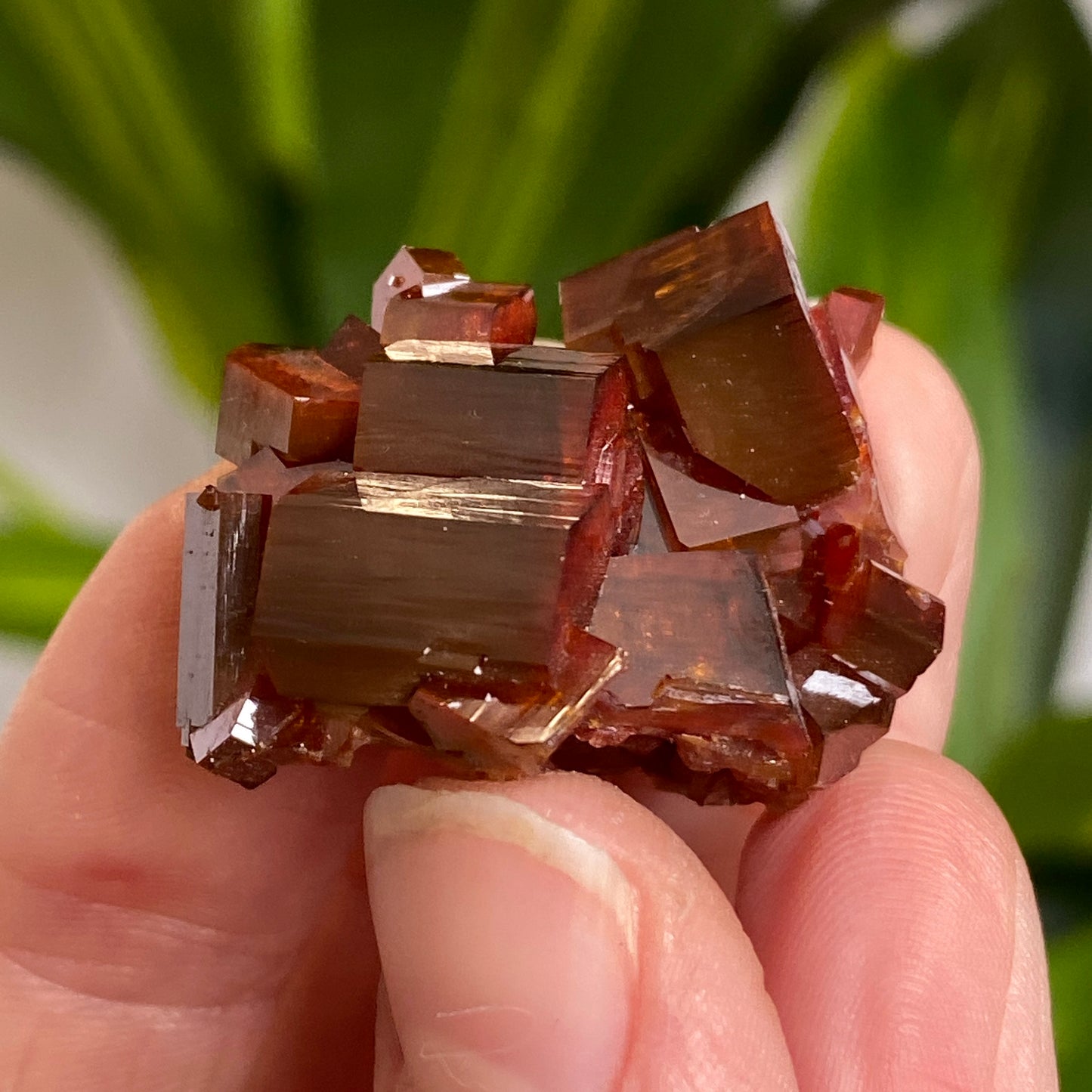 Vanadinite