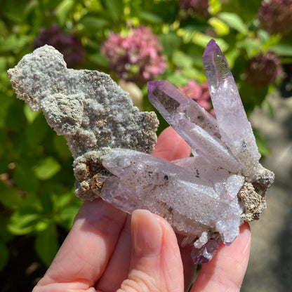 Vera Cruz Amethyst Specimen