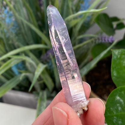 Vera Cruz Amethyst