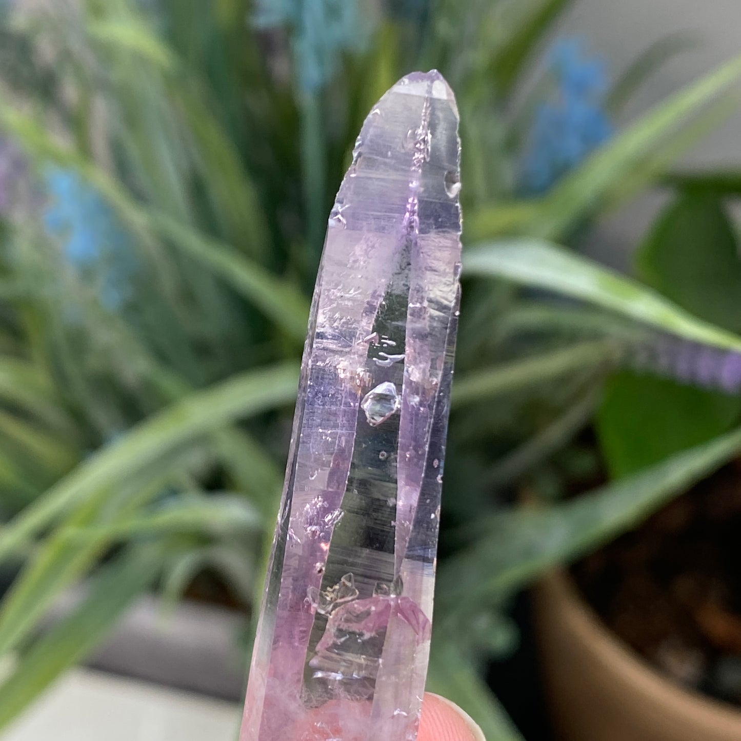 Vera Cruz Amethyst