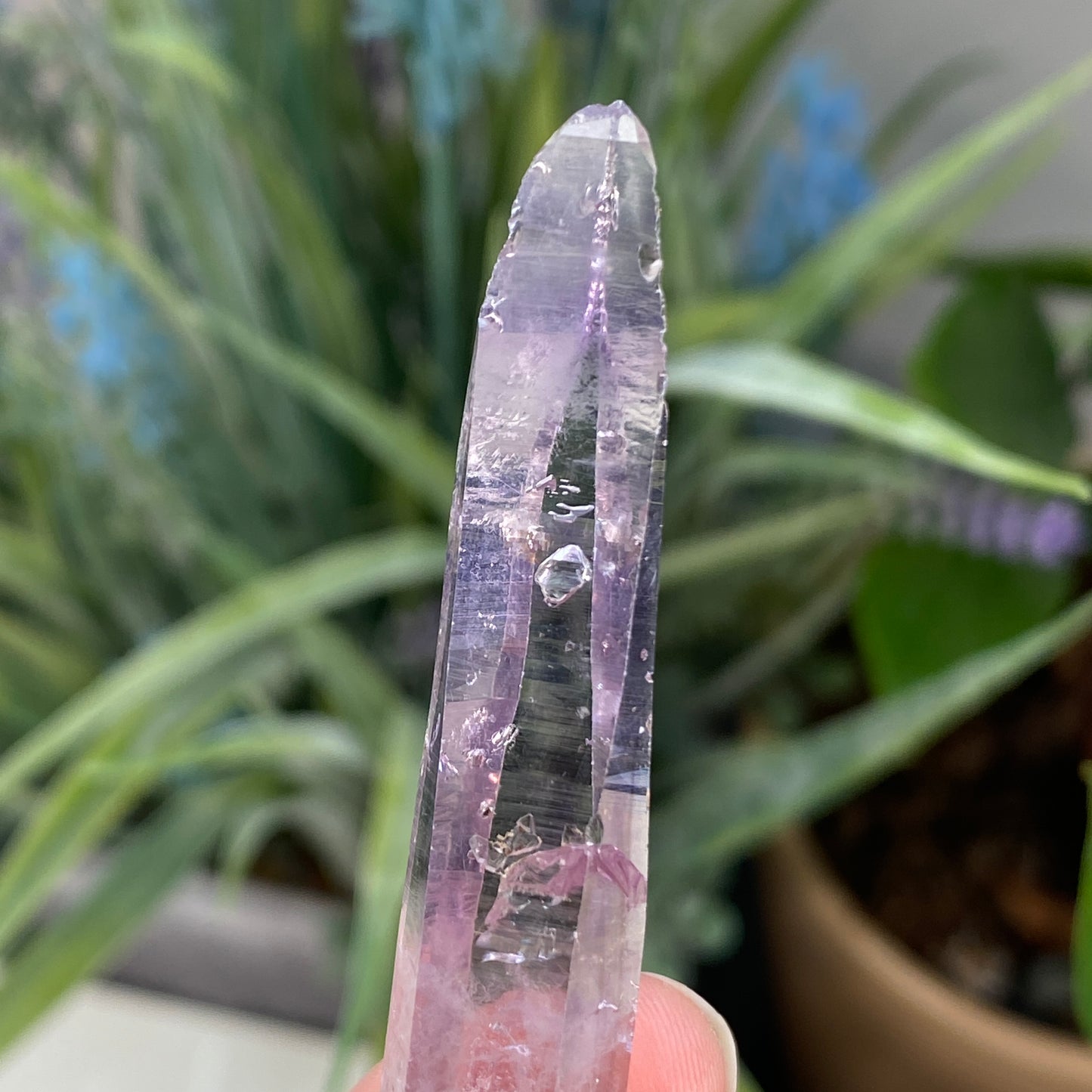 Vera Cruz Amethyst