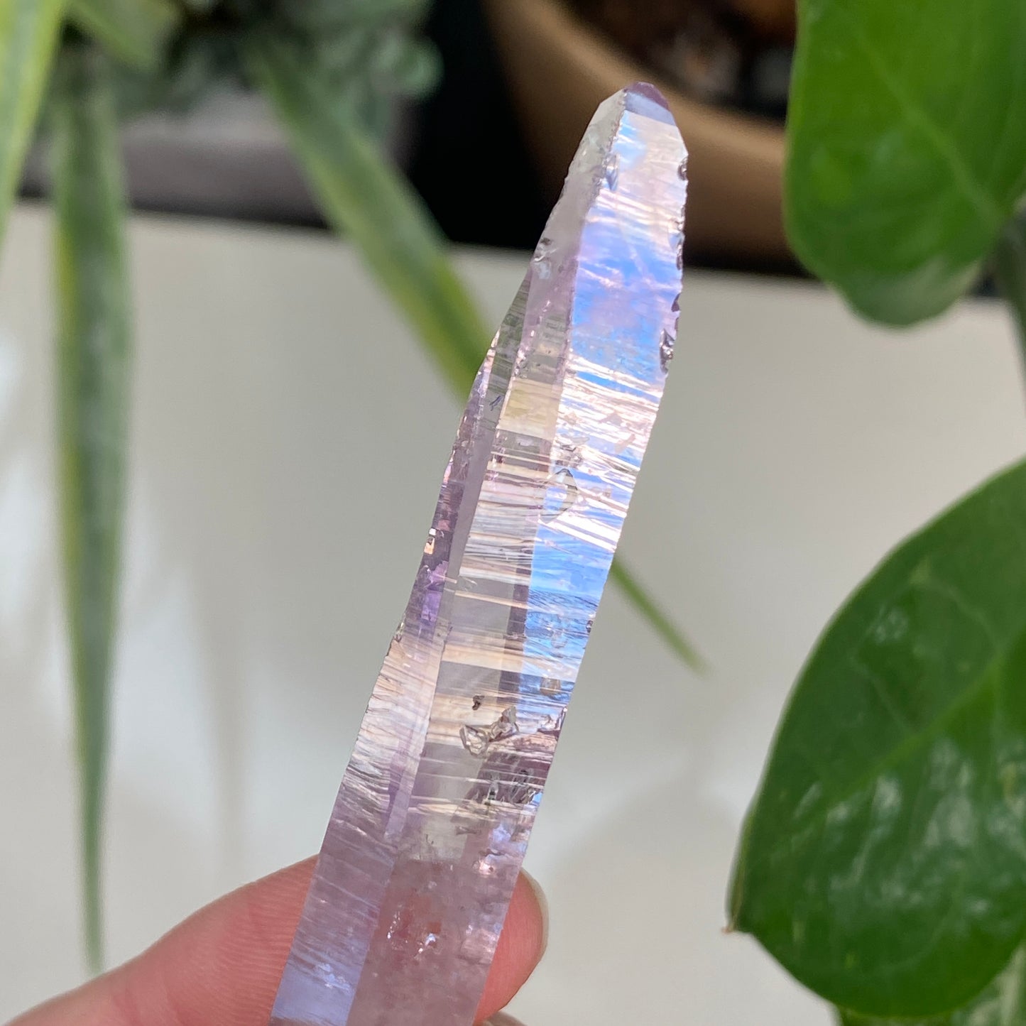 Vera Cruz Amethyst