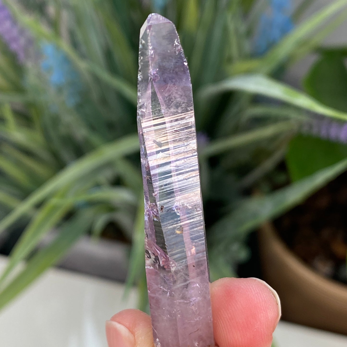 Vera Cruz Amethyst