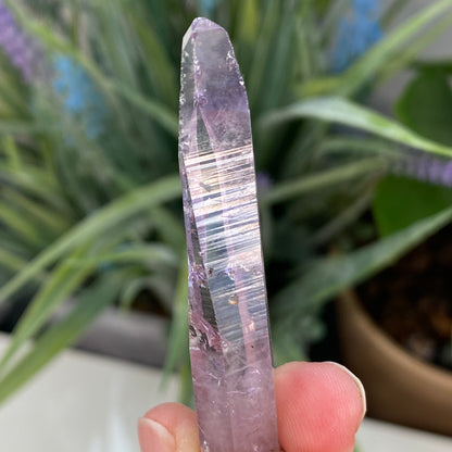 Vera Cruz Amethyst