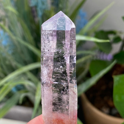 Vera Cruz Amethyst