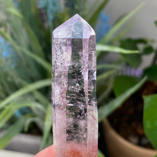Vera Cruz Amethyst