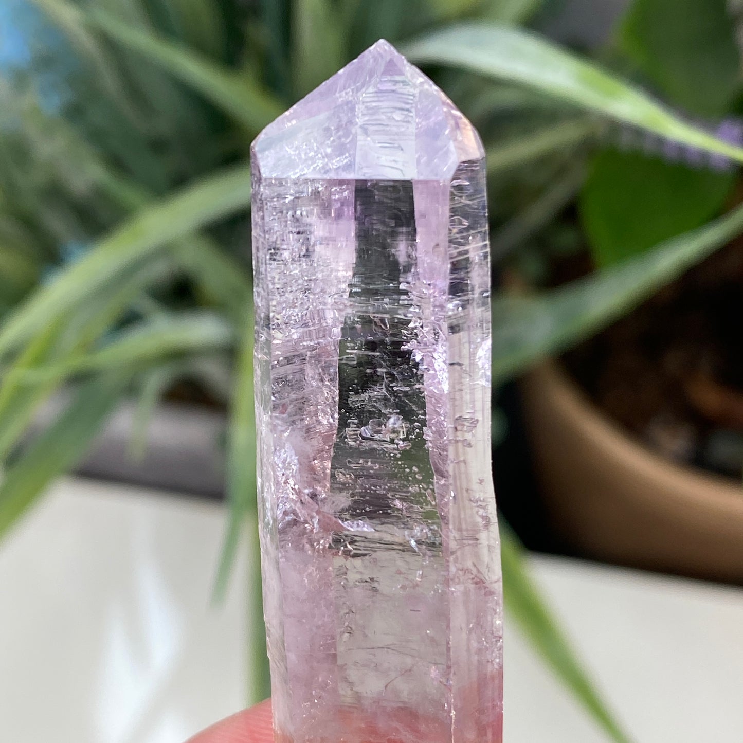 Vera Cruz Amethyst