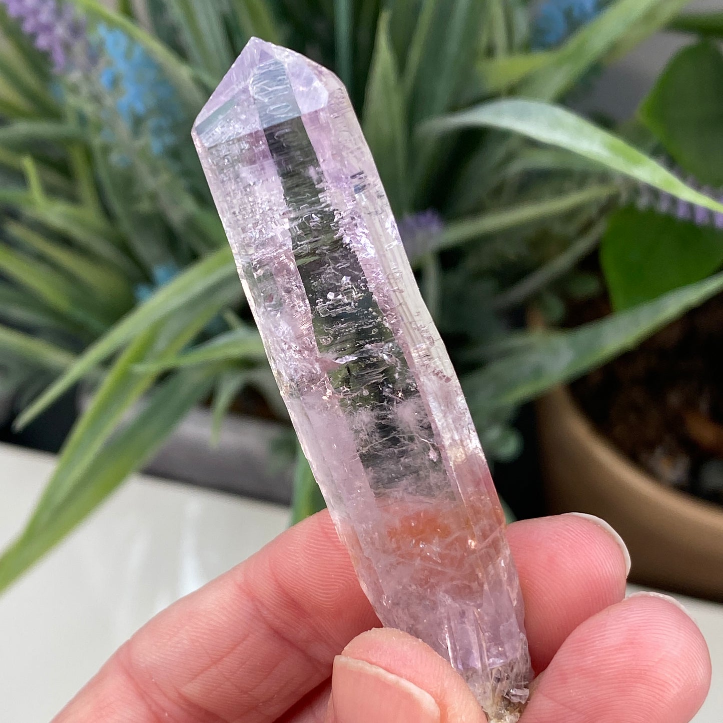 Vera Cruz Amethyst