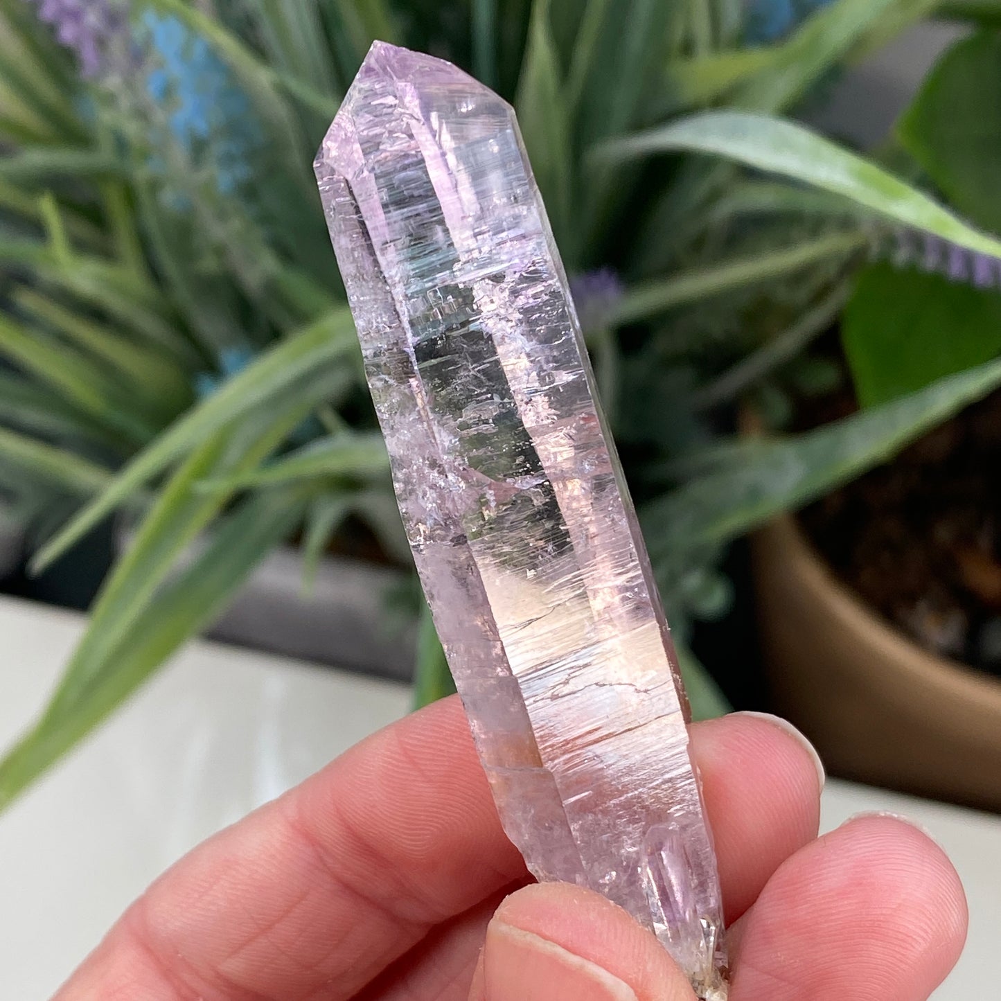 Vera Cruz Amethyst