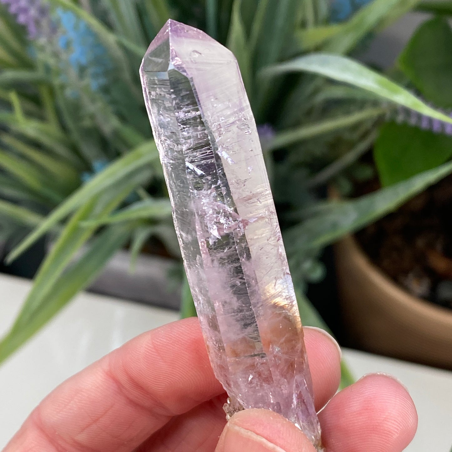 Vera Cruz Amethyst