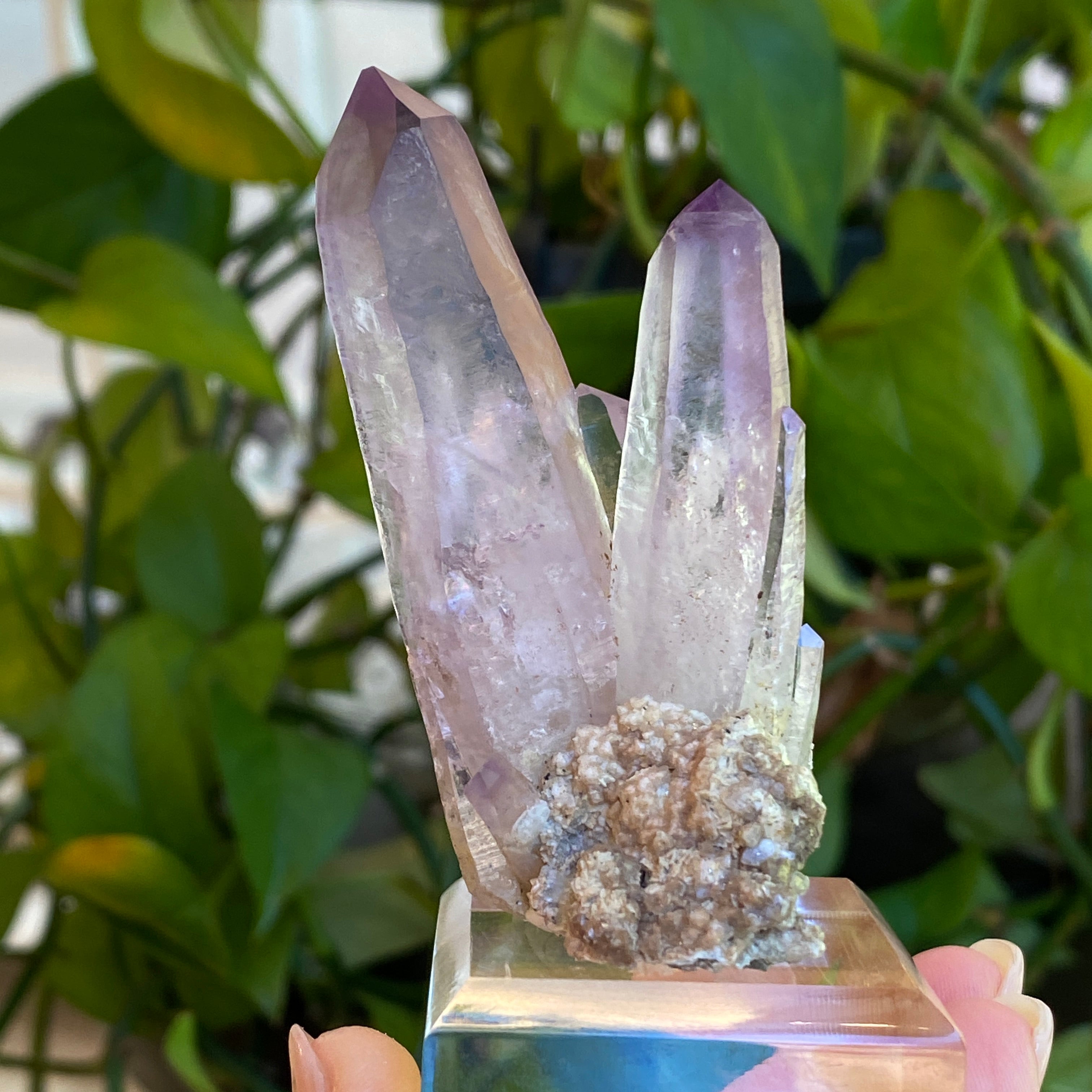 Veracruz deals Amethyst