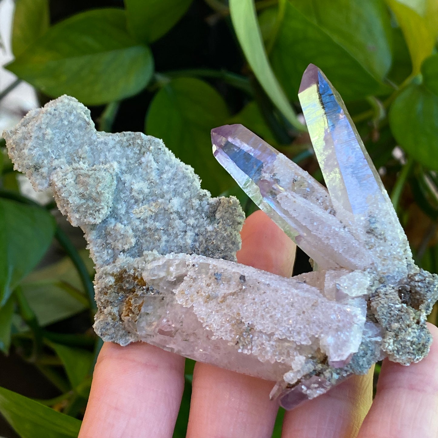 Vera Cruz Amethyst Specimen