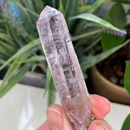 Vera Cruz Amethyst