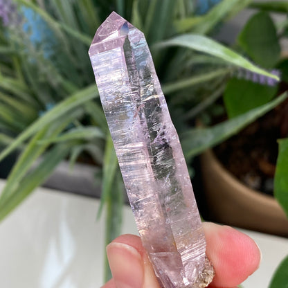 Vera Cruz Amethyst