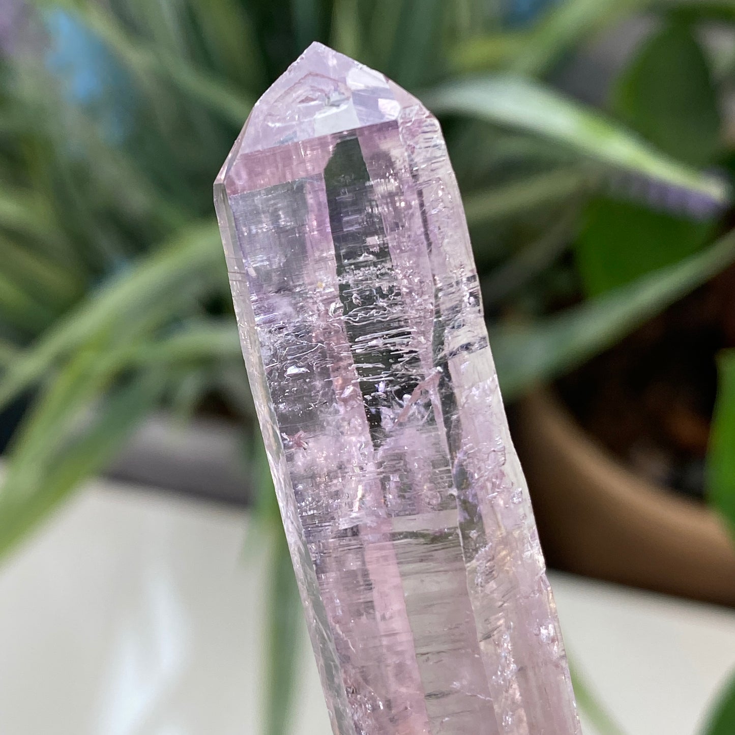 Vera Cruz Amethyst