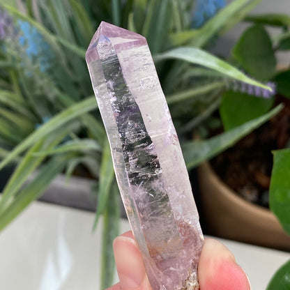Vera Cruz Amethyst