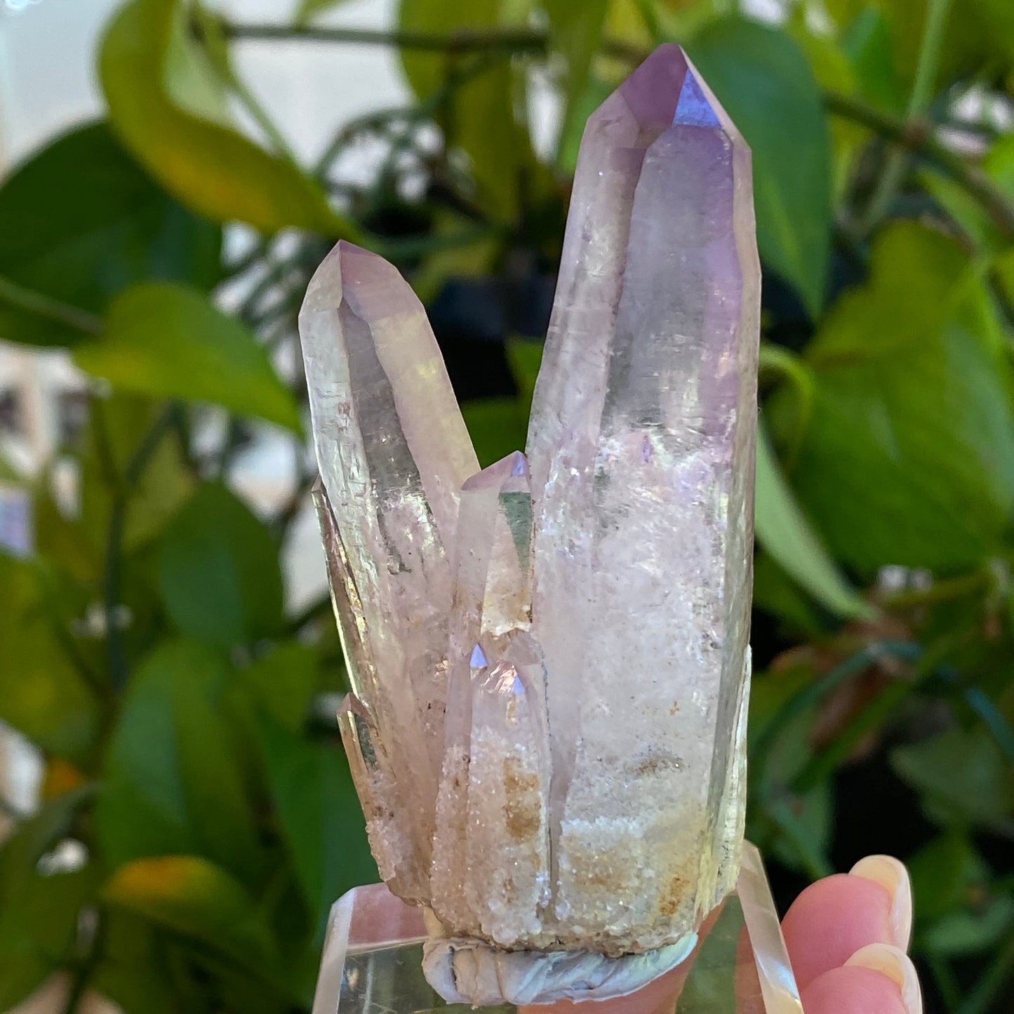 Vera Cruz Amethyst Specimen