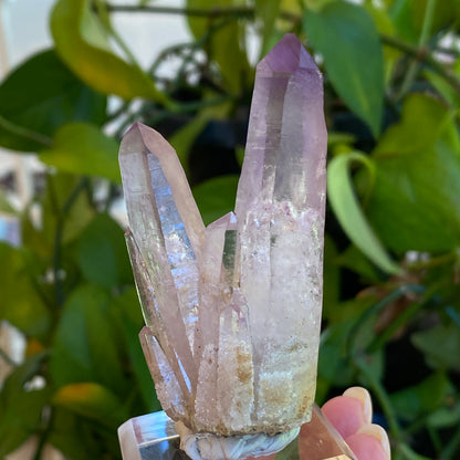 Vera Cruz Amethyst Specimen