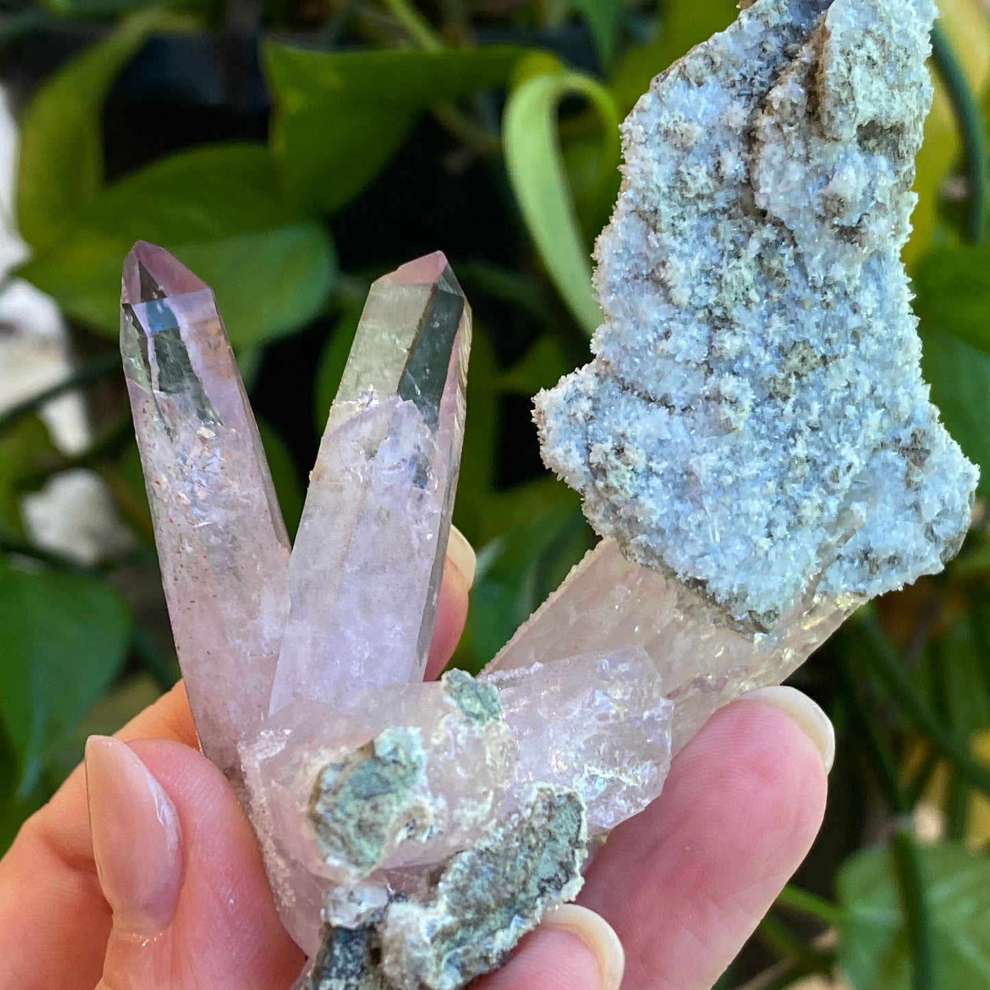 Vera Cruz Amethyst Specimen