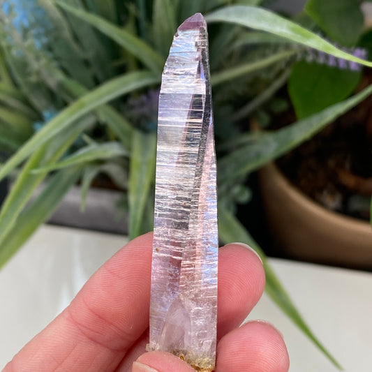 Vera Cruz Amethyst