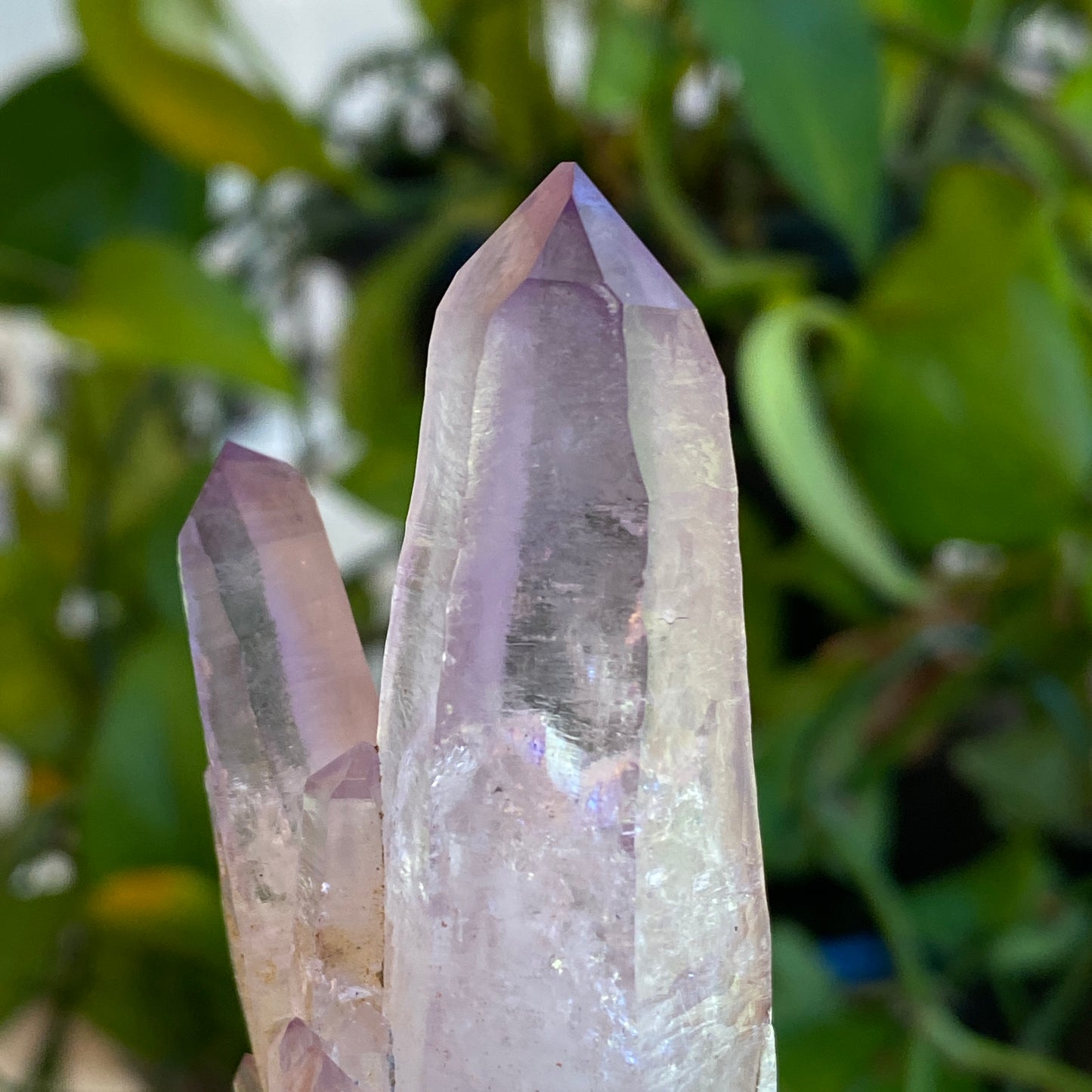 Vera Cruz Amethyst Specimen