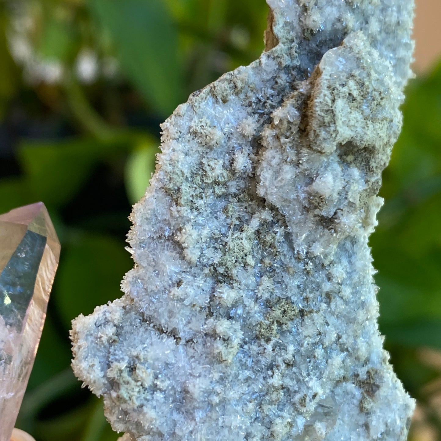 Vera Cruz Amethyst Specimen