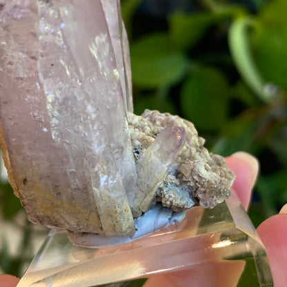 Vera Cruz Amethyst Specimen