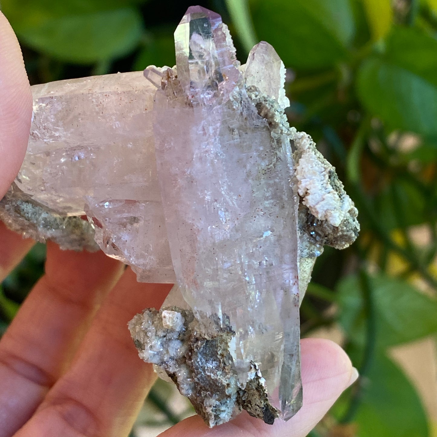 Vera Cruz Amethyst Specimen