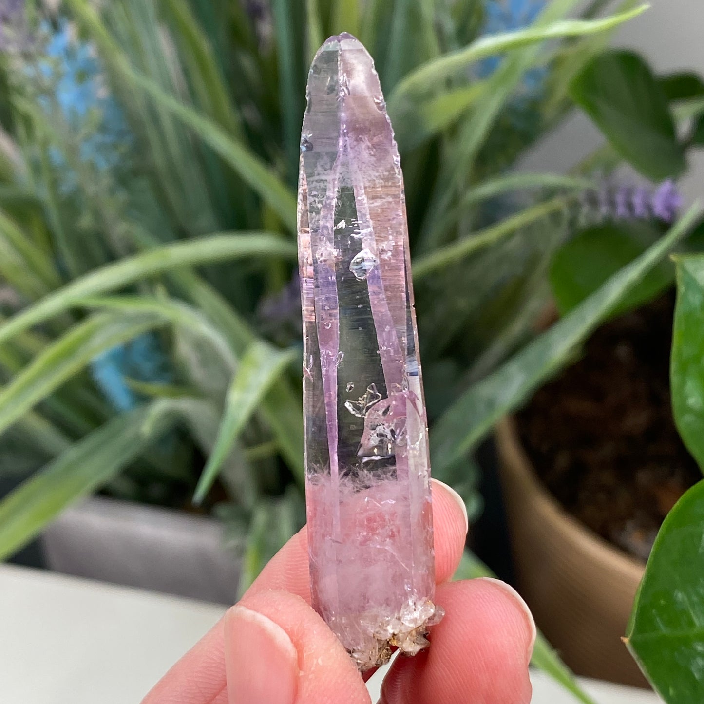 Vera Cruz Amethyst