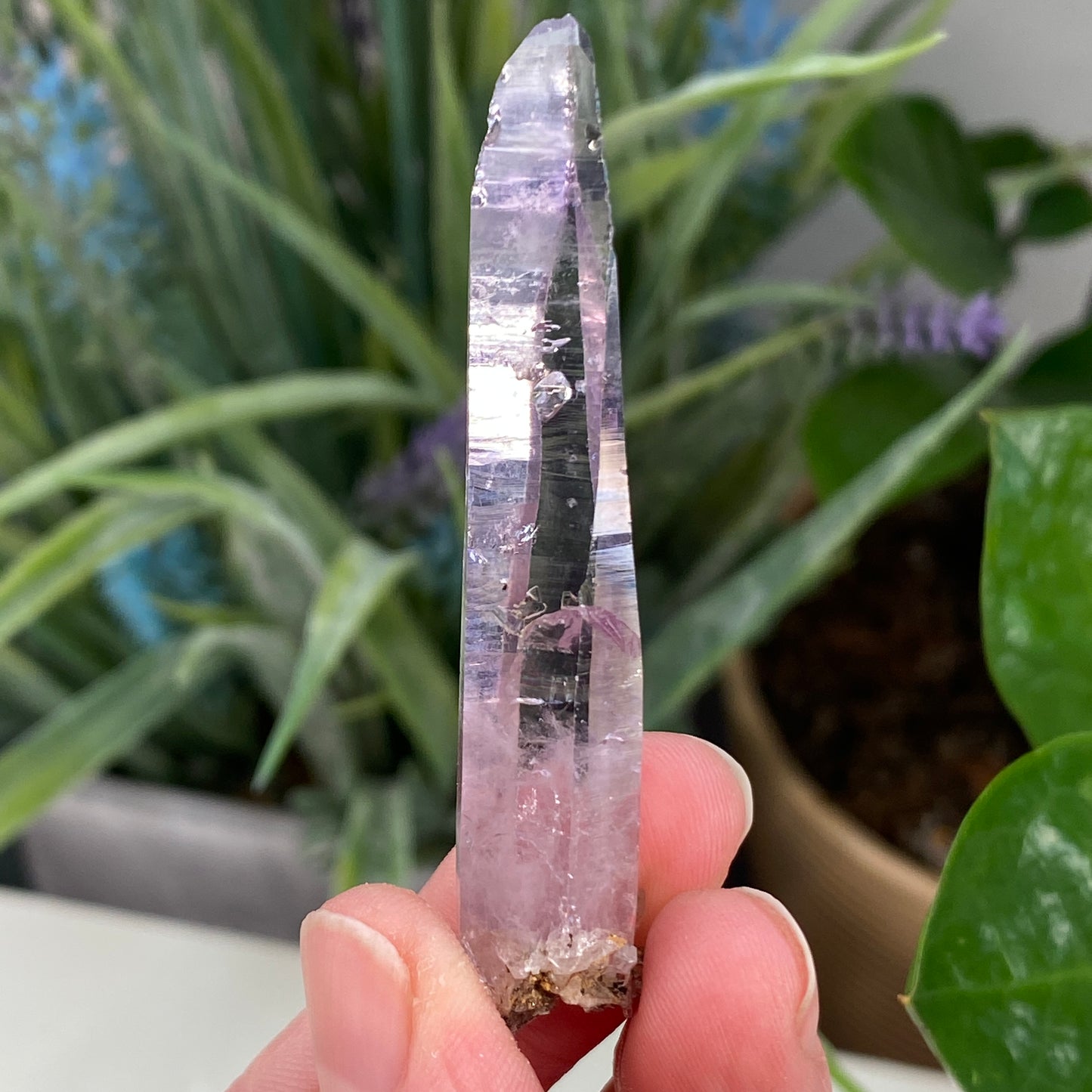 Vera Cruz Amethyst