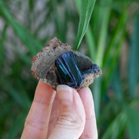 Vivianite Crystal