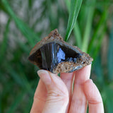 Vivianite Crystal