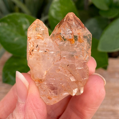 Window Quartz, Clay Included