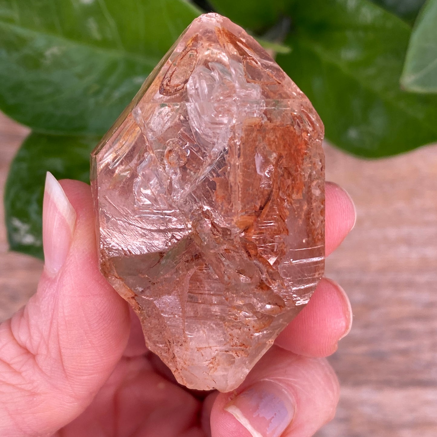 Window Quartz, Clay Included