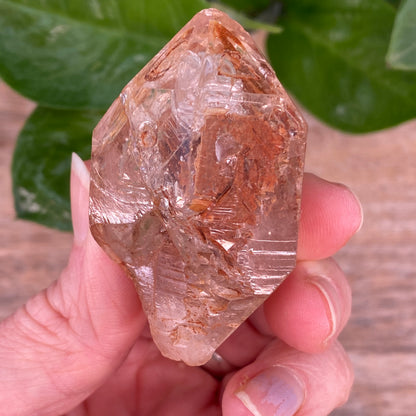 Window Quartz, Clay Included