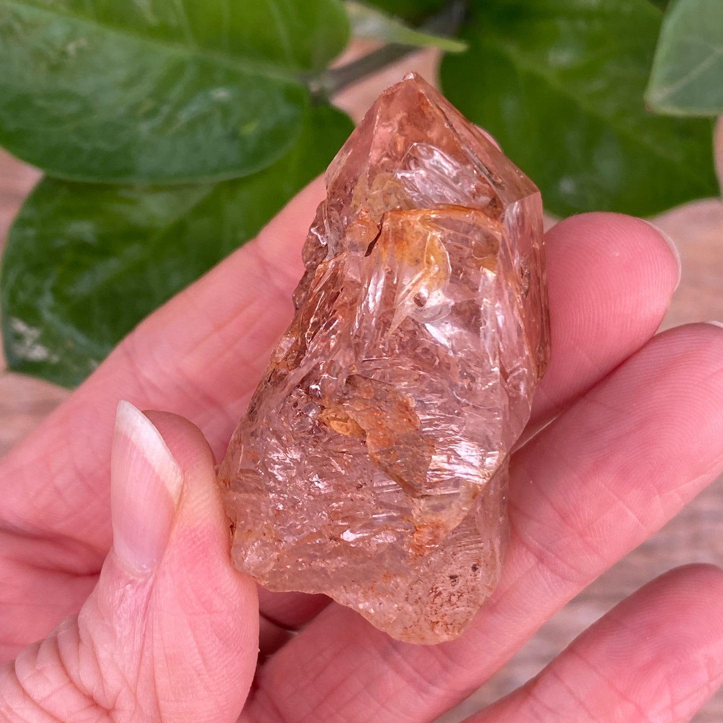 Window Quartz, Clay Included