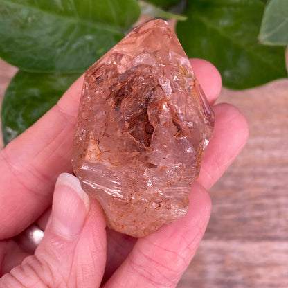 Window Quartz, Clay Included