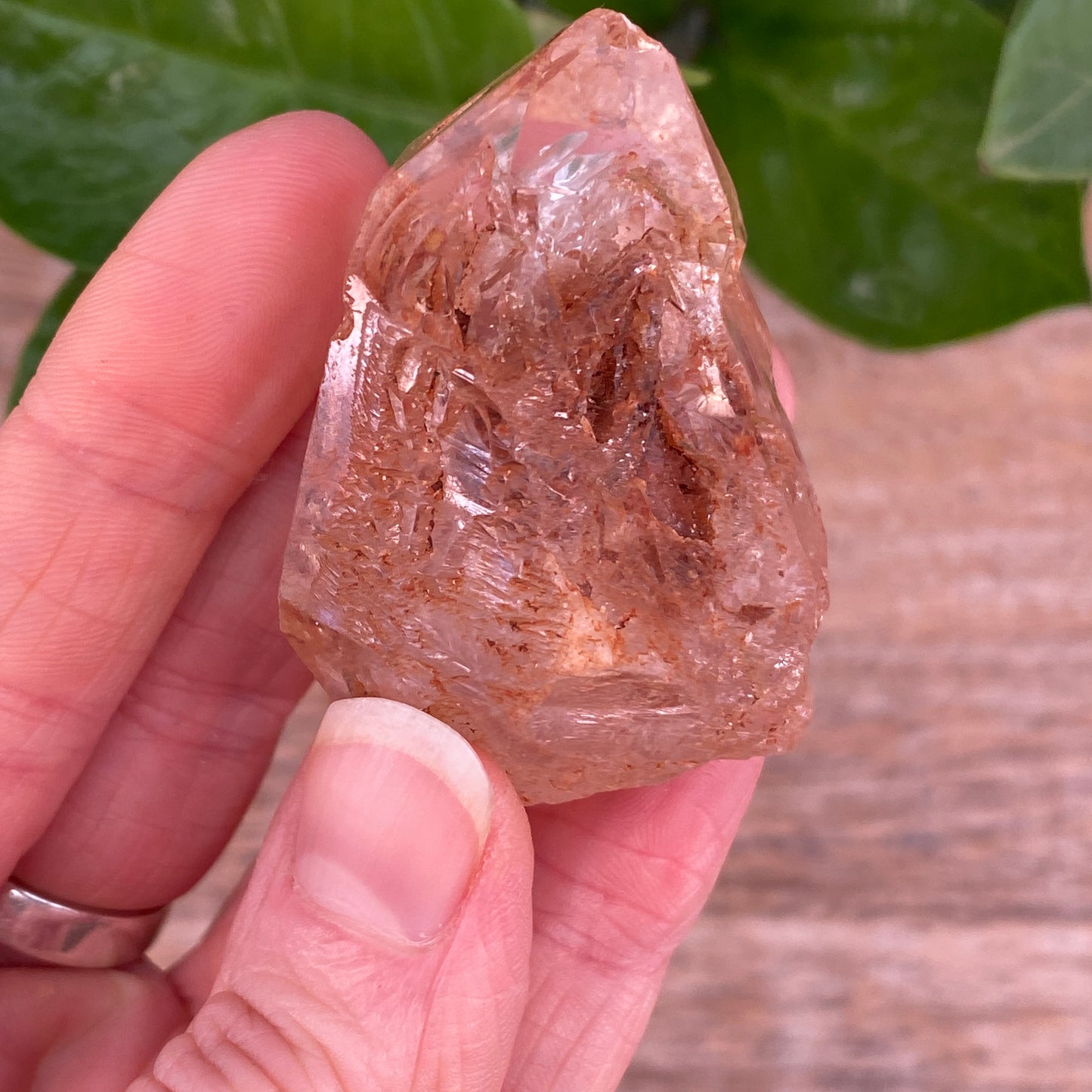 Window Quartz, Clay Included